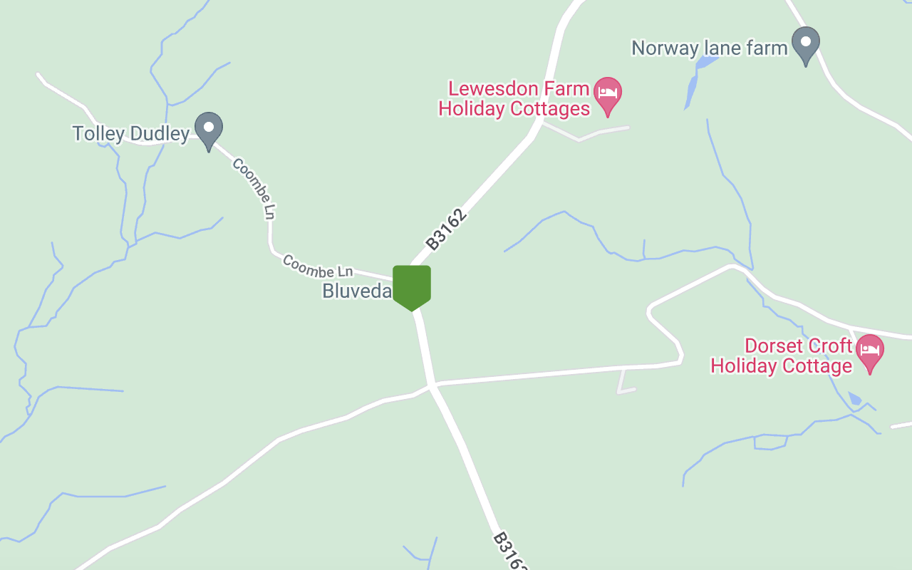 Map showing the BluVeda studio near Beaminster
