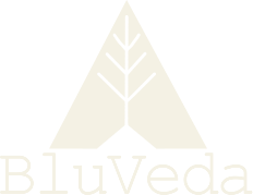 BluVeda home